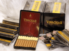 Cigar Lotus Mini